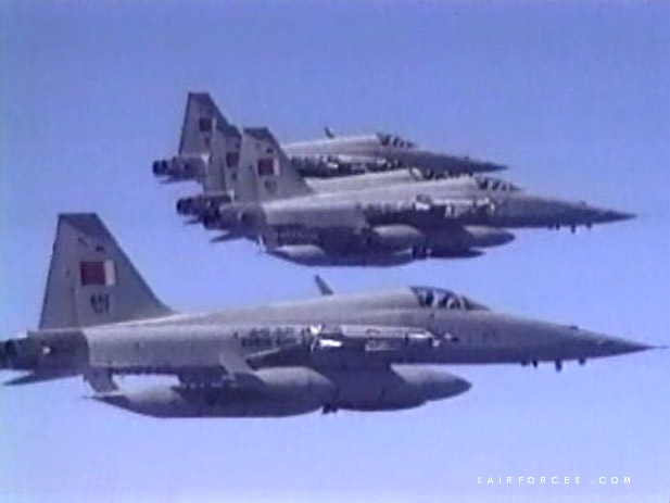 F-5E still image from Gulf video