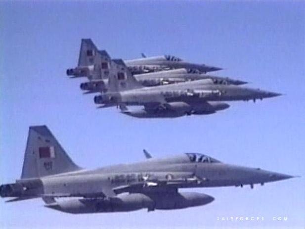 F-5E still image from Gulf video
